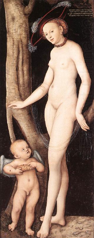 Venus and Cupid with a Honeycomb dfg, CRANACH, Lucas the Elder